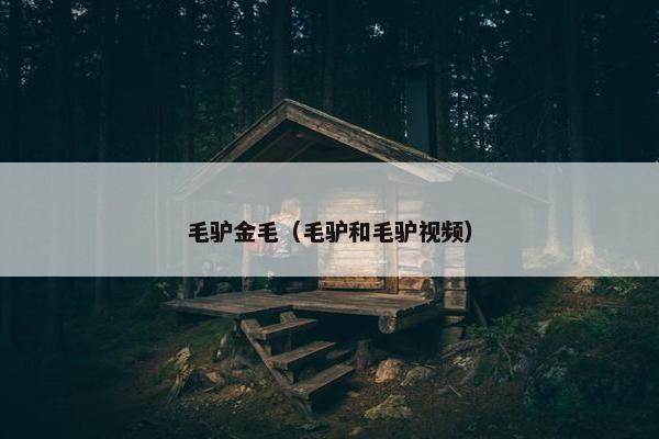 毛驴金毛（毛驴和毛驴视频）