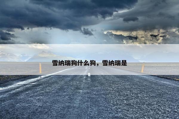 雪纳瑞狗什么狗，雪纳瑞是