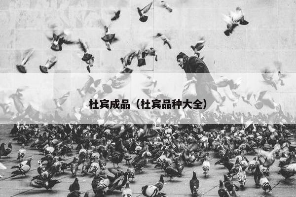 杜宾成品（杜宾品种大全）