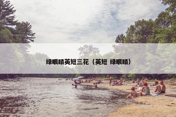绿眼睛英短三花（英短 绿眼睛）