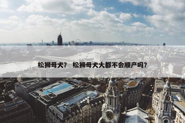 松狮母犬？ 松狮母犬大都不会顺产吗？