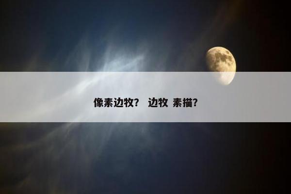 像素边牧？ 边牧 素描？