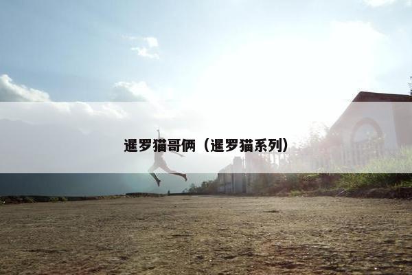 暹罗猫哥俩（暹罗猫系列）