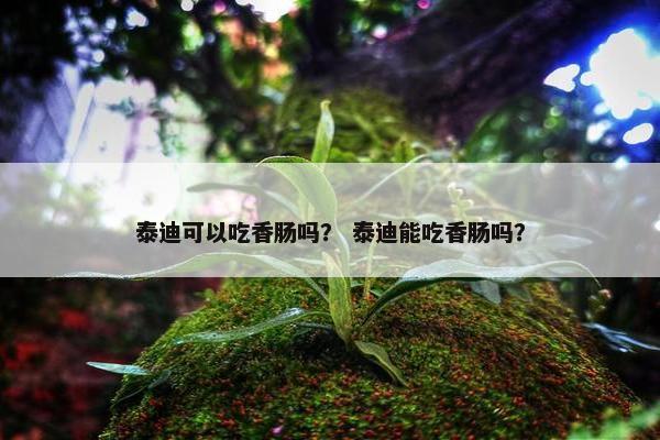 泰迪可以吃香肠吗？ 泰迪能吃香肠吗？