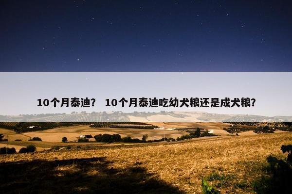 10个月泰迪？ 10个月泰迪吃幼犬粮还是成犬粮？