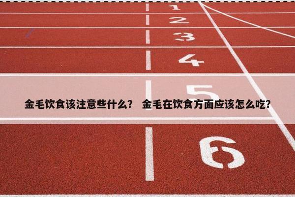 金毛饮食该注意些什么？ 金毛在饮食方面应该怎么吃？