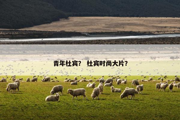 青年杜宾？ 杜宾时尚大片？