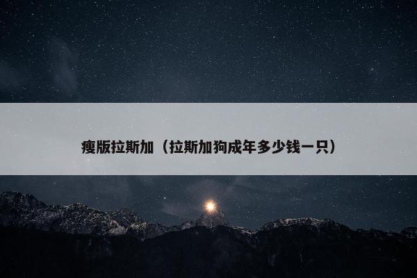 瘦版拉斯加（拉斯加狗成年多少钱一只）