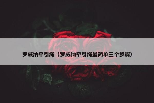 罗威纳牵引绳（罗威纳牵引绳最简单三个步骤）