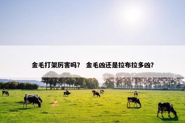 金毛打架厉害吗？ 金毛凶还是拉布拉多凶？