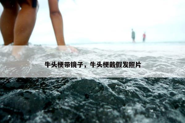 牛头梗带镜子，牛头梗戴假发照片