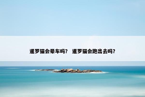 暹罗猫会晕车吗？ 暹罗猫会跑出去吗？