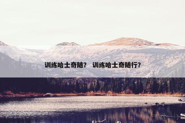 训练哈士奇随？ 训练哈士奇随行？