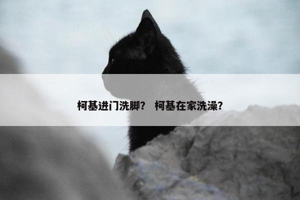 柯基进门洗脚？ 柯基在家洗澡？