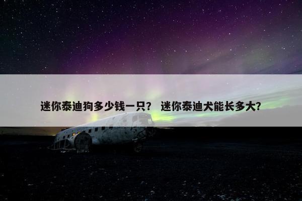 迷你泰迪狗多少钱一只？ 迷你泰迪犬能长多大？