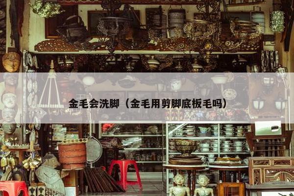 金毛会洗脚（金毛用剪脚底板毛吗）