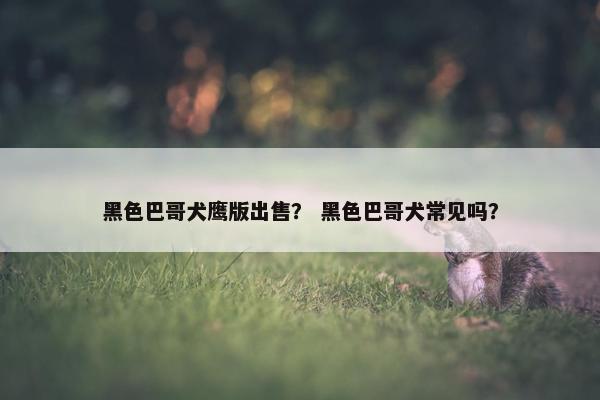黑色巴哥犬鹰版出售？ 黑色巴哥犬常见吗？