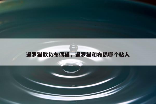 暹罗猫欺负布偶猫，暹罗猫和布偶哪个粘人