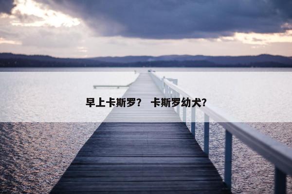 早上卡斯罗？ 卡斯罗幼犬？