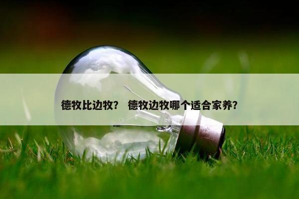 德牧比边牧？ 德牧边牧哪个适合家养？