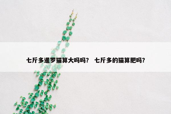 七斤多暹罗猫算大吗吗？ 七斤多的猫算肥吗？