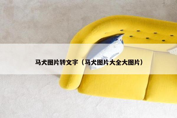 马犬图片转文字（马犬图片大全大图片）