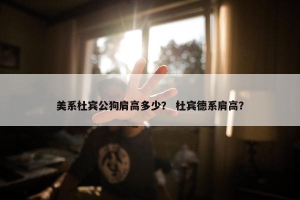 美系杜宾公狗肩高多少？ 杜宾德系肩高？