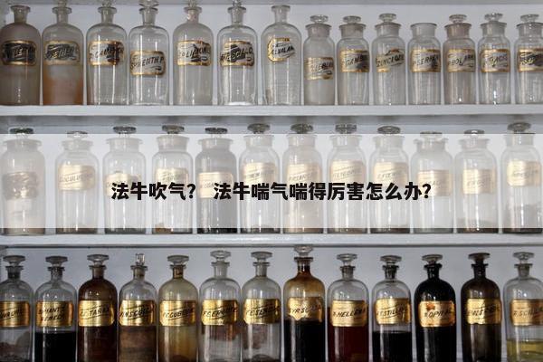 法牛吹气？ 法牛喘气喘得厉害怎么办？