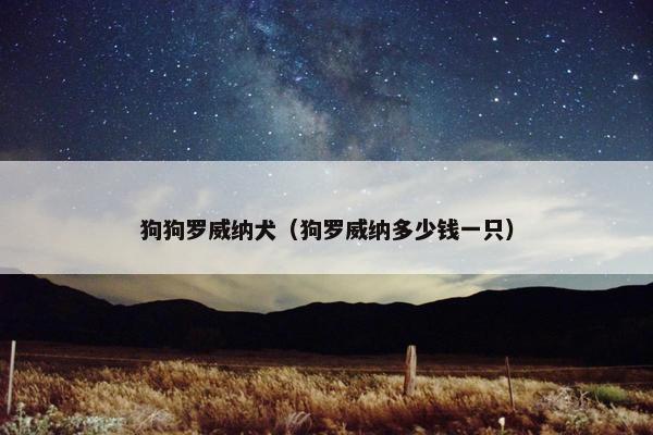 狗狗罗威纳犬（狗罗威纳多少钱一只）