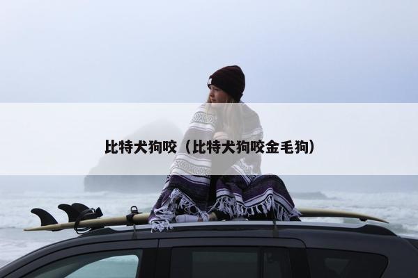 比特犬狗咬（比特犬狗咬金毛狗）