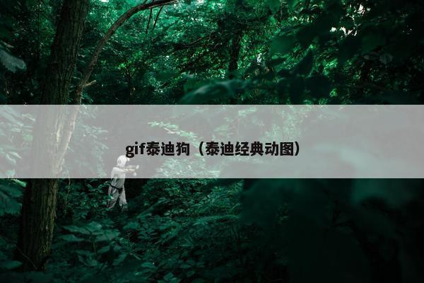 gif泰迪狗（泰迪经典动图）
