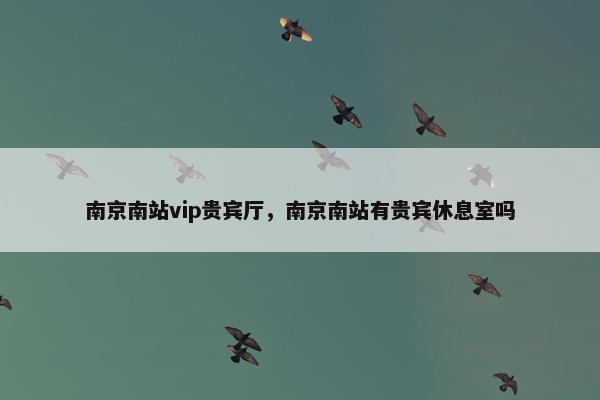 南京南站vip贵宾厅，南京南站有贵宾休息室吗