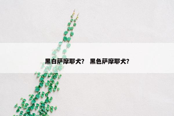 黑白萨摩耶犬？ 黑色萨摩耶犬？