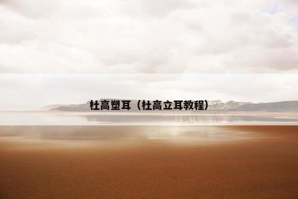 杜高塑耳（杜高立耳教程）
