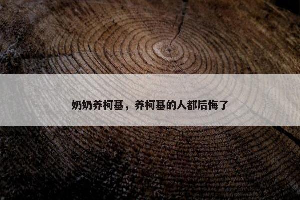 奶奶养柯基，养柯基的人都后悔了