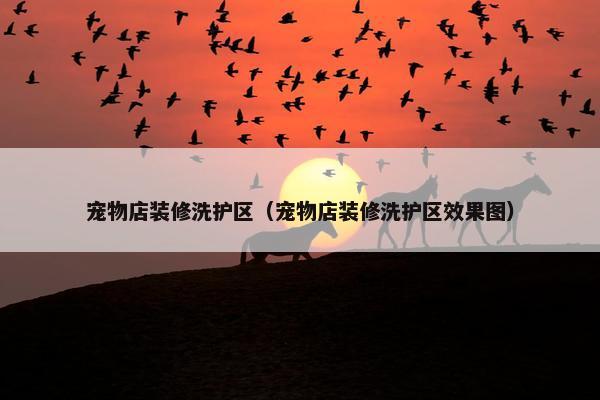 宠物店装修洗护区（宠物店装修洗护区效果图）