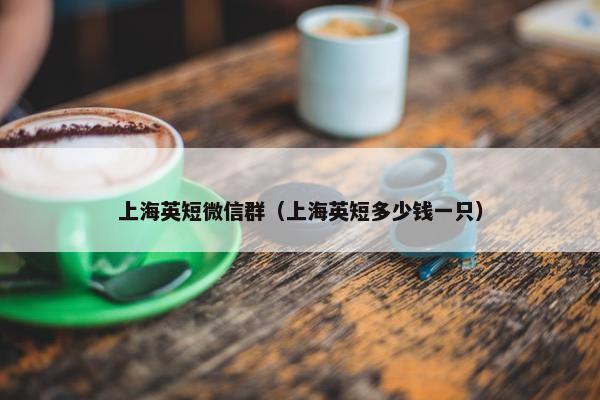 上海英短微信群（上海英短多少钱一只）