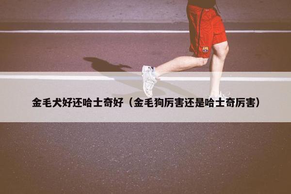 金毛犬好还哈士奇好（金毛狗厉害还是哈士奇厉害）