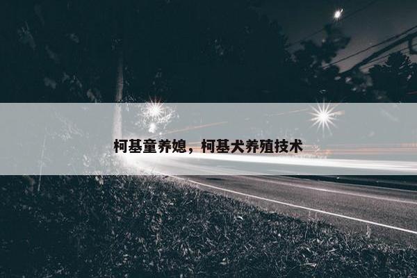 柯基童养媳，柯基犬养殖技术