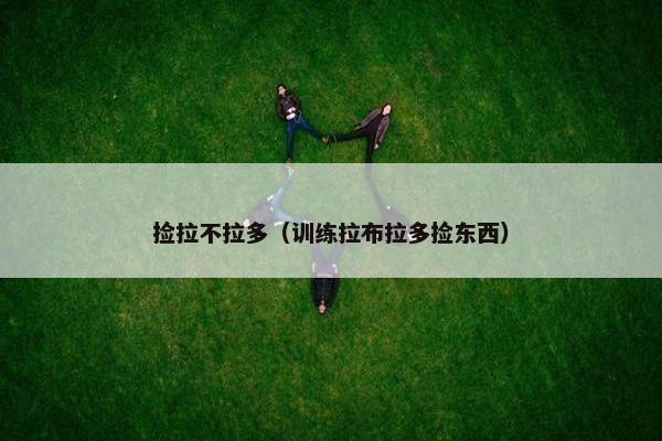 捡拉不拉多（训练拉布拉多捡东西）