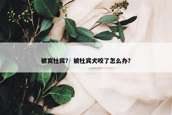 被窝杜宾？ 被杜宾犬咬了怎么办？
