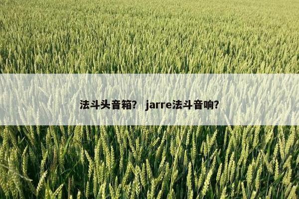 法斗头音箱？ jarre法斗音响？