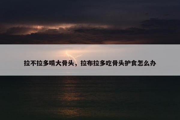 拉不拉多啃大骨头，拉布拉多吃骨头护食怎么办