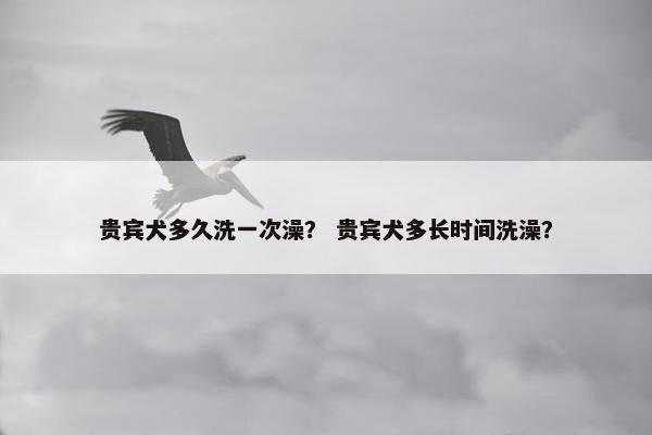 贵宾犬多久洗一次澡？ 贵宾犬多长时间洗澡？