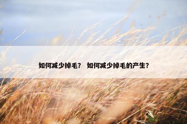 如何减少掉毛？ 如何减少掉毛的产生？