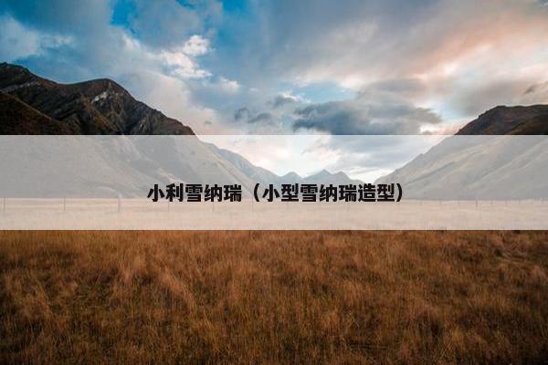 小利雪纳瑞（小型雪纳瑞造型）