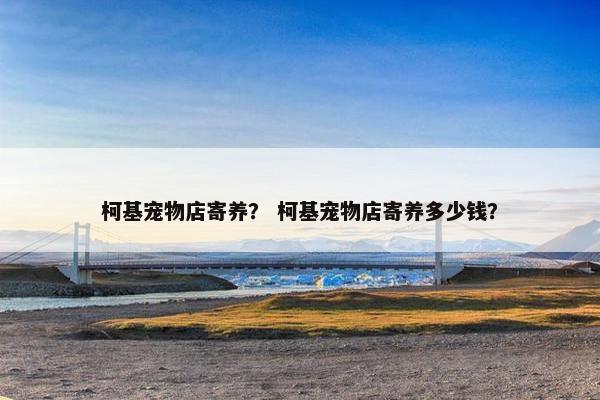 柯基宠物店寄养？ 柯基宠物店寄养多少钱？