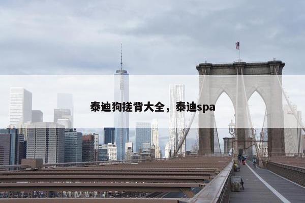 泰迪狗搓背大全，泰迪spa