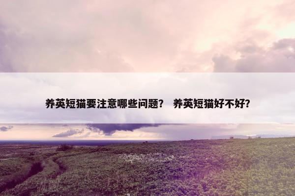 养英短猫要注意哪些问题？ 养英短猫好不好？