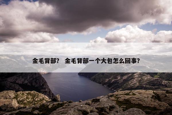 金毛背部？ 金毛背部一个大包怎么回事？